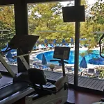Resort Montana Pine