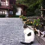 Resort Montana Pine Oludeniz