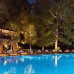 Resort Montana Pine