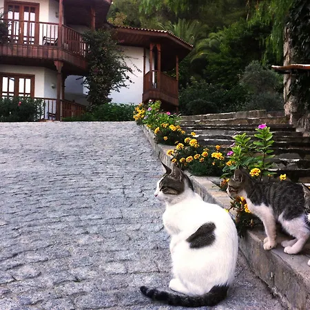 Feriested Montana Pine Ölüdeniz