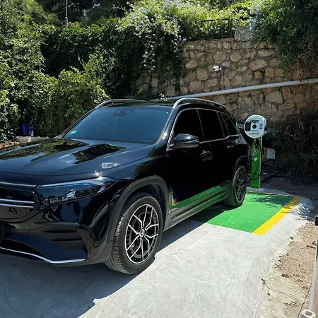 Montana Pine Feriested