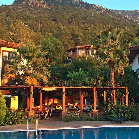 Resort Montana Pine 4*